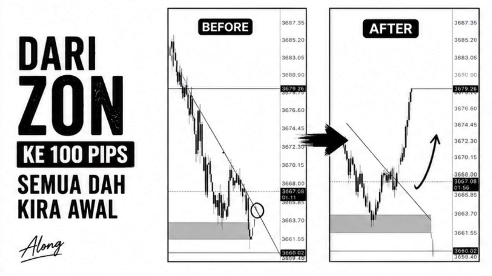 Along Gold Scalper
