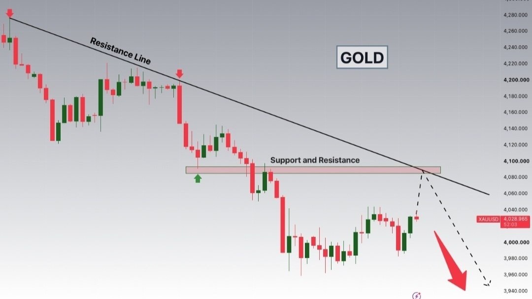 FOREX GOLD SIGNAL 👑