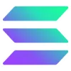 🟣